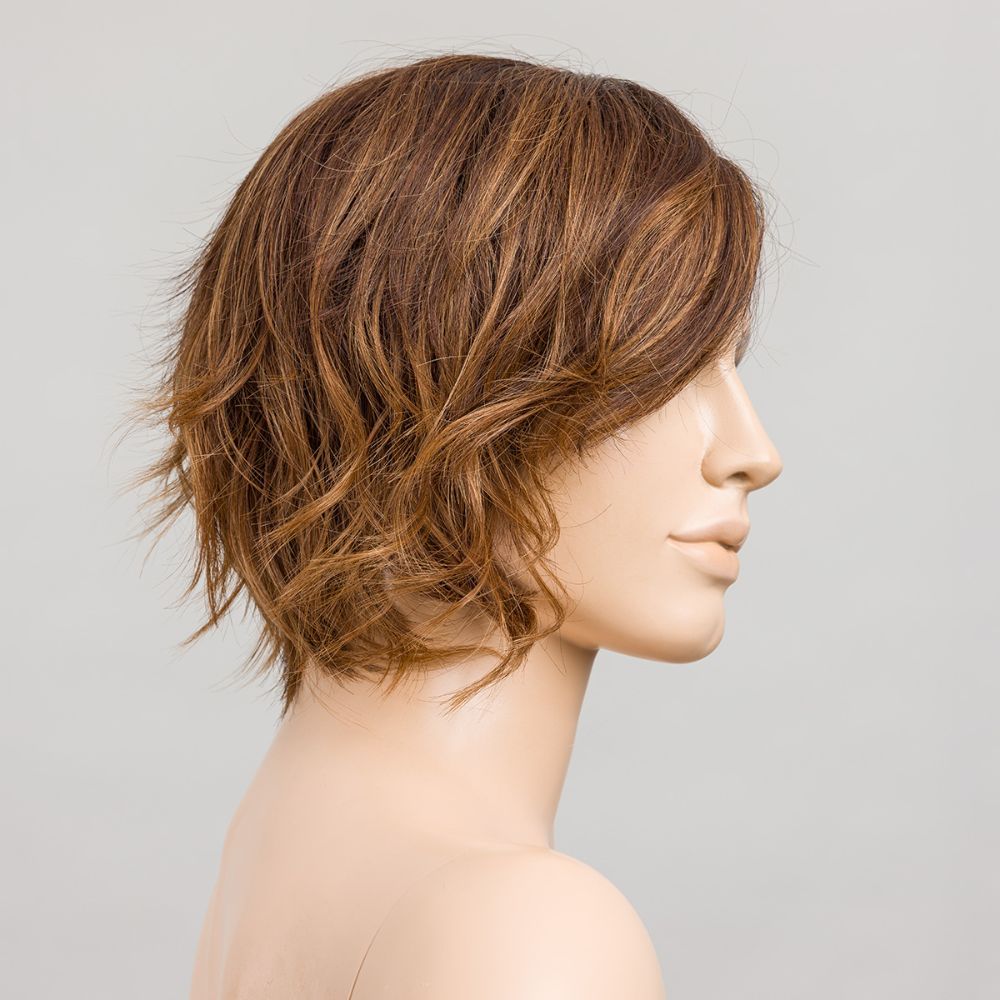 Cookie-Chocolate-rooted